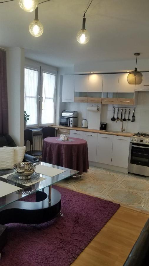 Apartament Zamosc Fiolet Εξωτερικό φωτογραφία